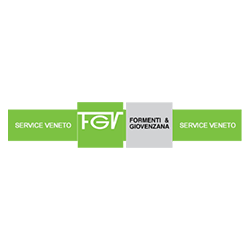 fgv-service-veneto